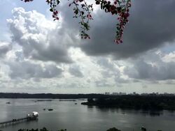 The Estuary (D27), Condominium #578530691